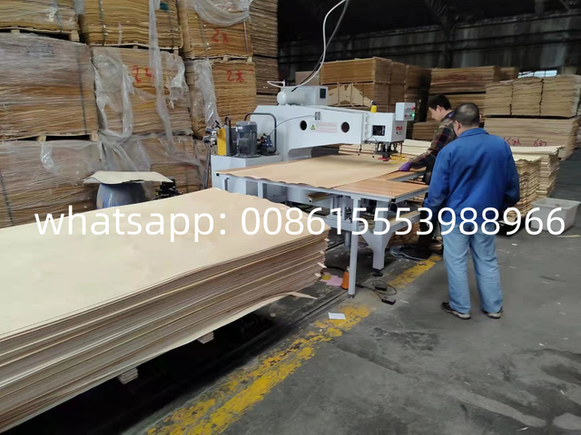 Máquina de patching automática (modelo de borboleta)